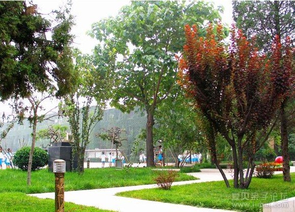 北京丰台第五小学简介