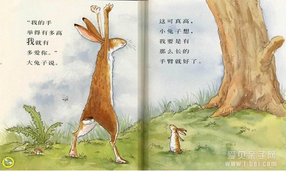 猜猜我有多爱你 绘本