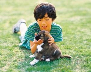小男孩