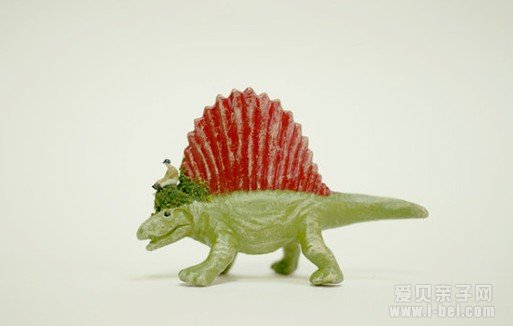 《迷人的动物》带孩子探索动物神秘世界