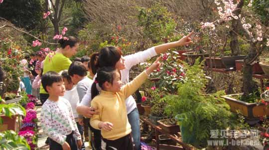 幼儿园实施多元文化教育的目标