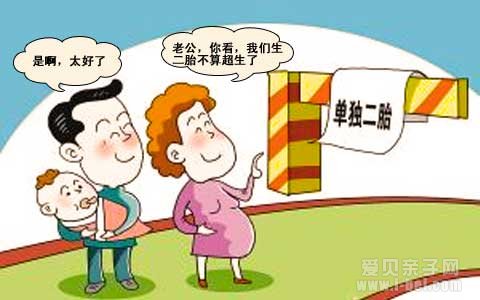 单独二胎政策