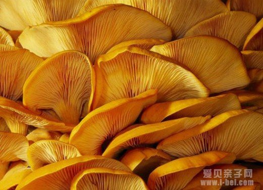 那些可能致命的美食诱惑