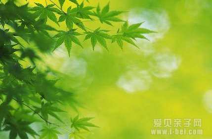 我们应该从哪些方面提高孩子的自控力呢？