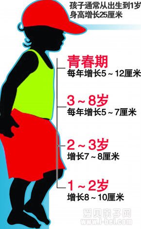 孩子的身高由谁决定?