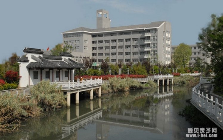 家长分享：南京育英外国语学校小升初优录情况及建议