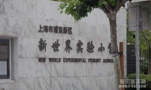 浦东新区新世界实验小学情况介绍