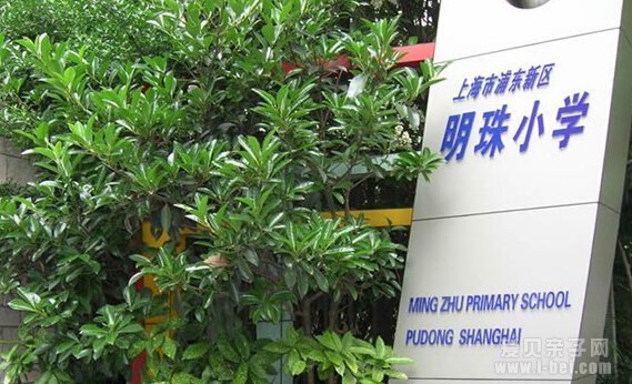盘点上海浦东新区小学之明珠小学