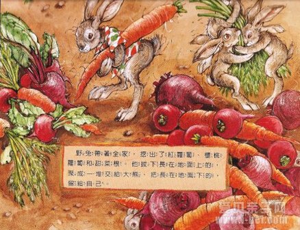 上面和下面绘本