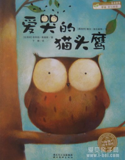 爱哭的猫头鹰