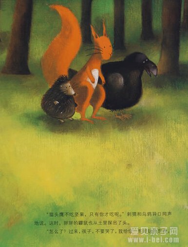 爱哭的猫头鹰