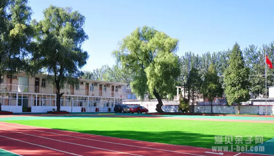 北京市顺义区博华外国语学校招生简章