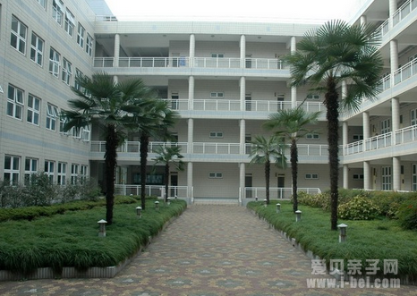 2016年上海小升初招生入学政策摘录