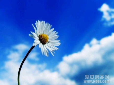 孩子像花儿阳光快乐,是家长的责任