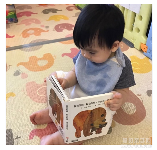 爱看书的宝宝最呆萌，宝宝绘本大合集