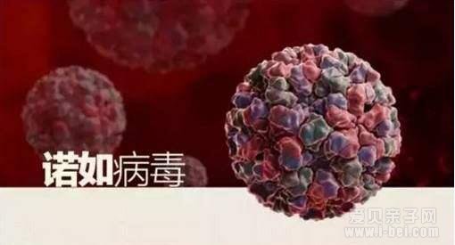 上海童园实验小学45名学生恶心呕吐 多人检出诺如病毒！