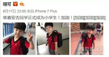 安吉上20多万一年的国际学校 为何明星更倾向国际学校?
