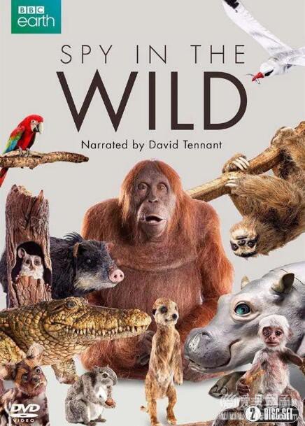 BBC纪录片:Spy in the Wild 荒野间谍全集高清视频带字幕