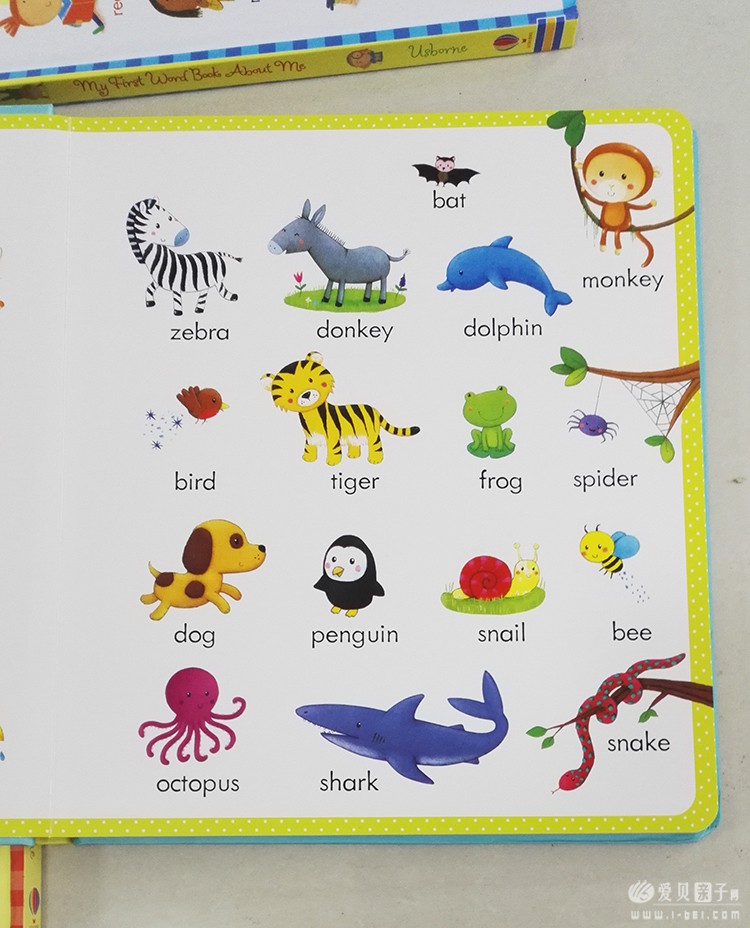 儿童英文词典:My First Word Book 我的第一本单词书点读版