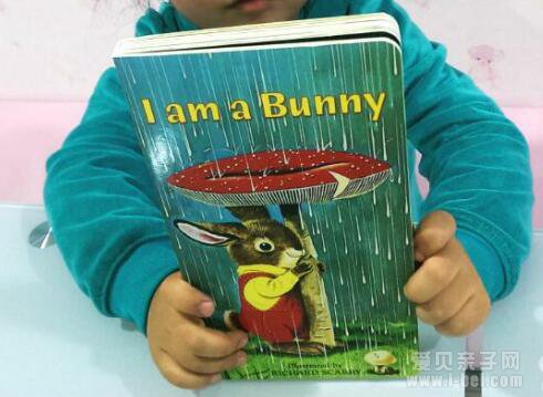 I am a Bunny