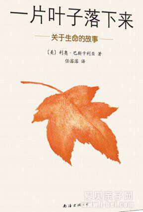 一片叶子落下来