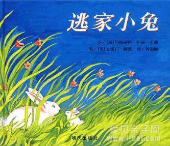 逃家小兔