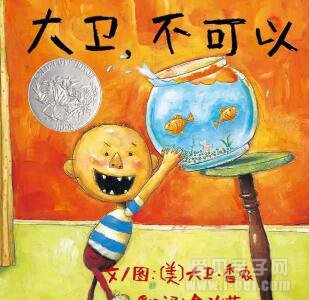 大卫,不可以