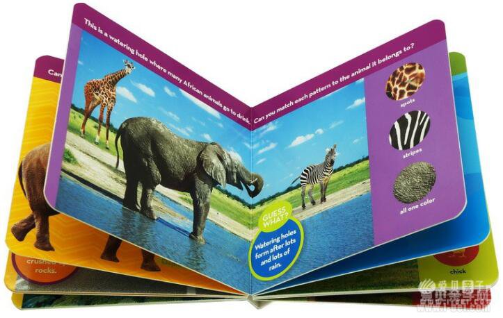 美国国家地理National Geographic Kids Look and Learn