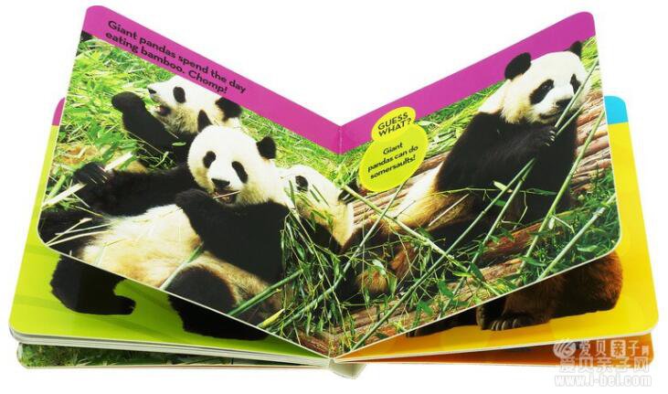 美国国家地理National Geographic Kids Look and Learn