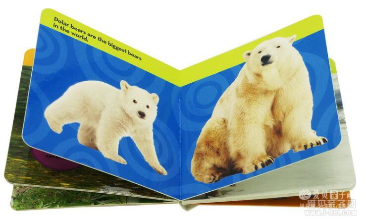 美国国家地理National Geographic Kids Look and Learn