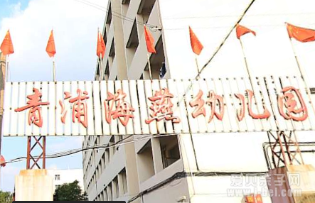 上海青浦区海燕民办幼儿园