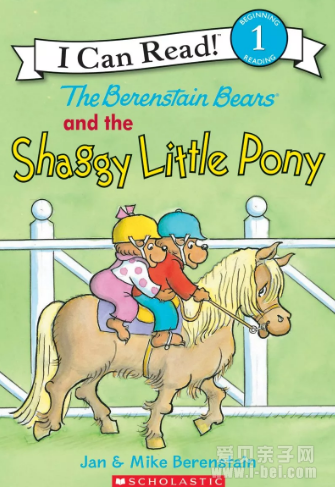 shaggy little pony