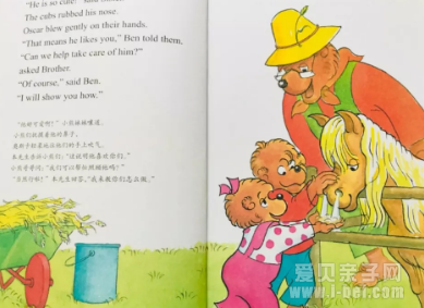 shaggy little pony
