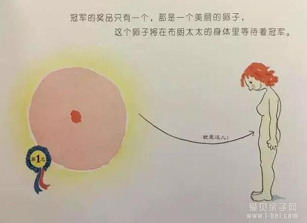 ɻ汾Сǰ塷 Ķָ