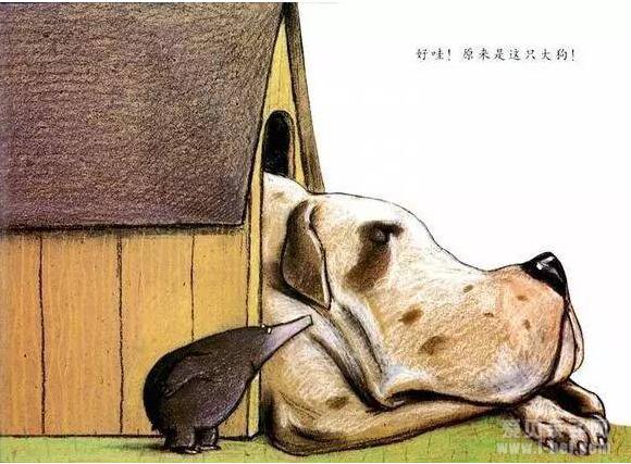 行为养成绘本：《是谁嗯嗯在我的头上》阅读指导