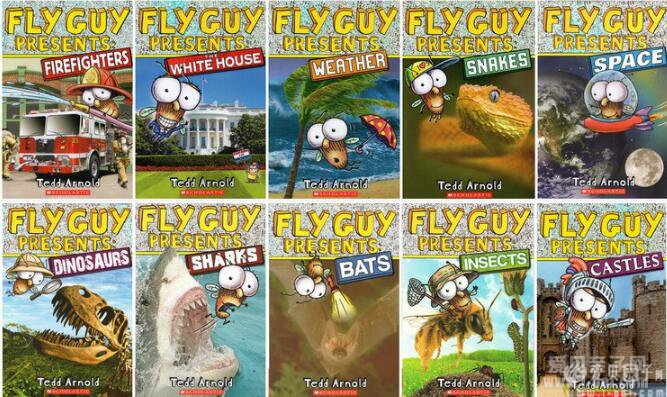 Fly Guy Presents苍蝇小子科普桥梁书系列10册