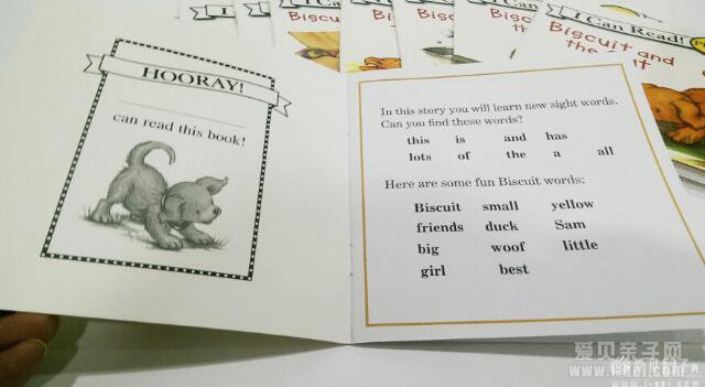 手掌书Phonics 系列5种(南希、饼干狗、贝贝熊、粉红)