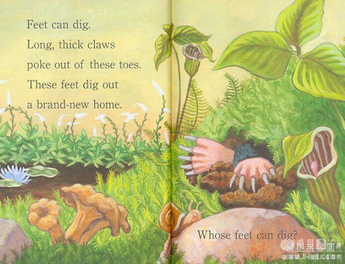 棺ּǡStep into Reading2