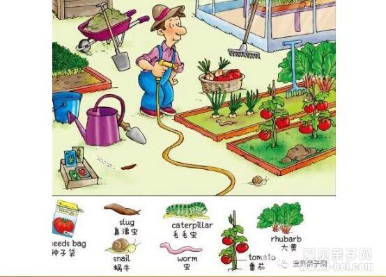  国外孩子用的图解词典！给孩子买词典看这一篇就够了！ 