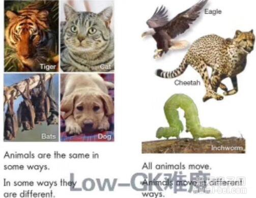 RAZ系列:SAZ科学GK-G6阶 点读版