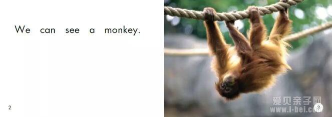 海尼曼GK“听说读看”：At the Zoo