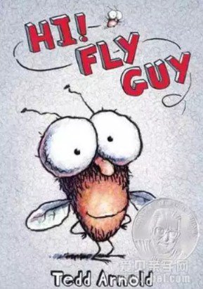 火爆桥梁书:《苍蝇小子》Fly Guy系列最全合辑点读版