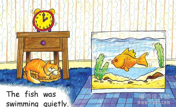 ÷ּĶüֵЩ