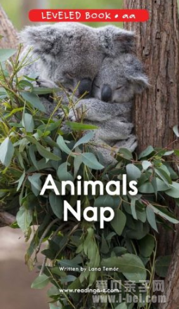 Level AAAnimals Nap