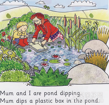 ˫ｲţĶסPond DippingĶָ