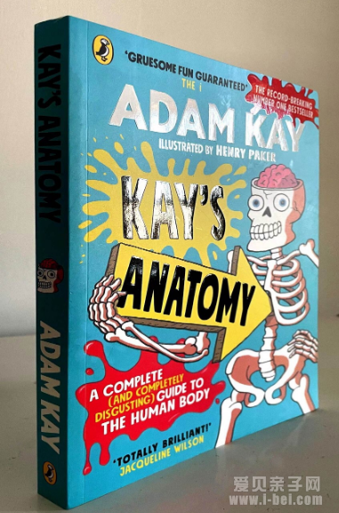 KAY\S ANATOMY Ľѧ